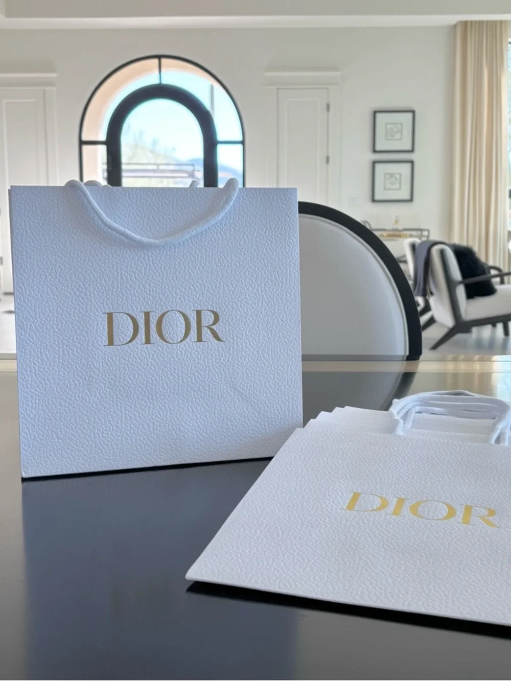 DIOR Set of 6 Shopping Totes